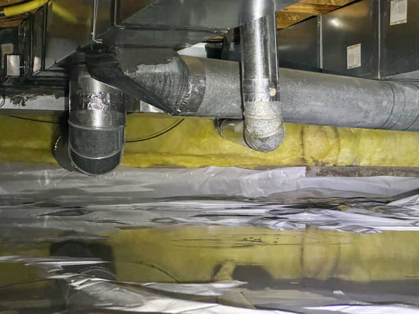 Best Mold removal after water damage  in Pekin, IL